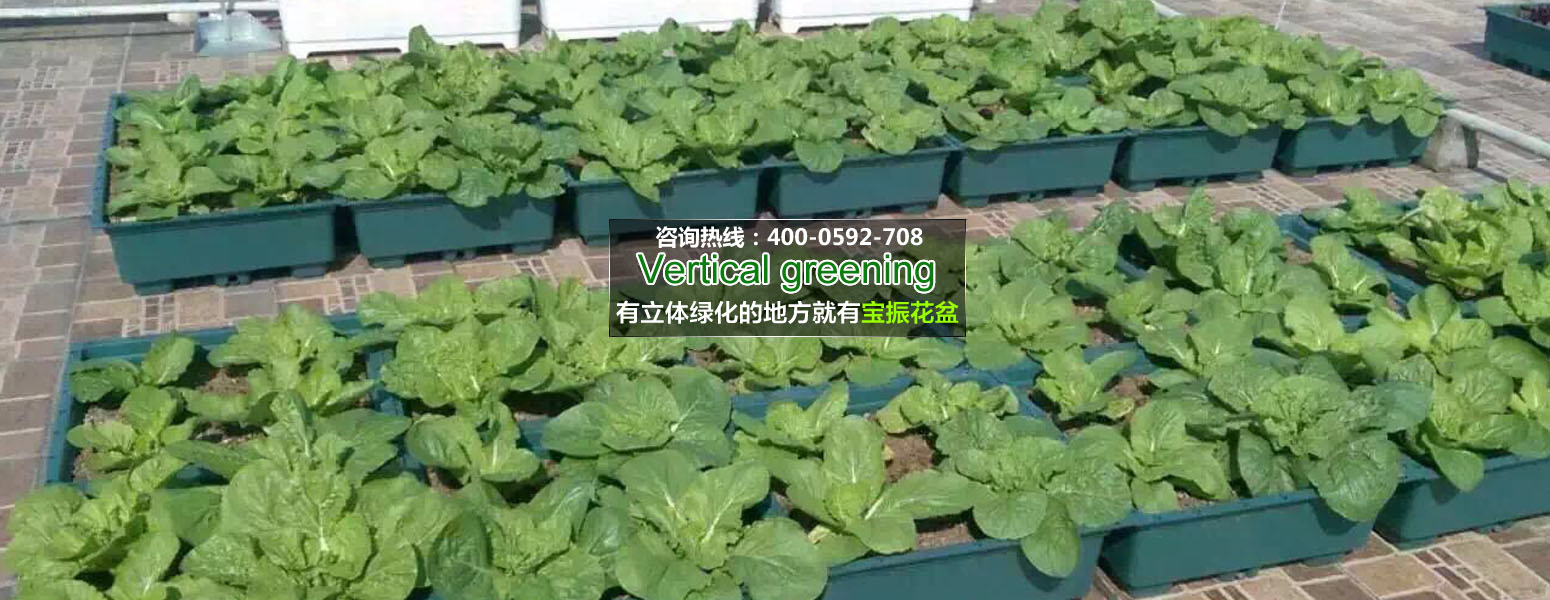屋頂4.jpg